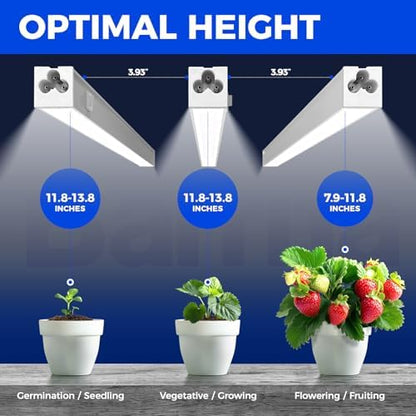 Barrina T5 Grow Lights for Indoor Plants, 5000K Full Spectrum, 1FT, 4 Packs