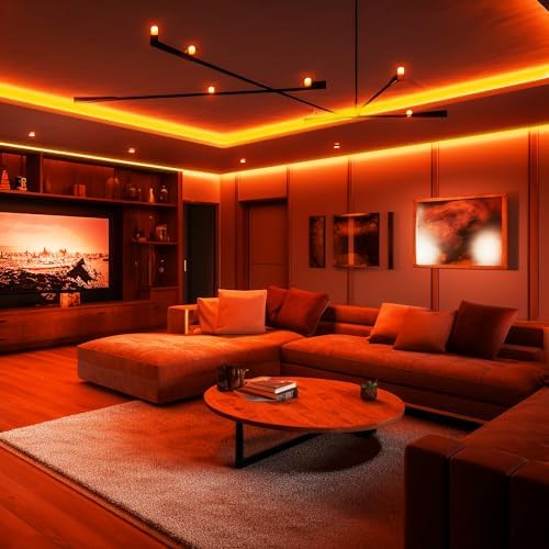 iNextStation Orange LED Light Strip 16.4FT LED Rope Light (with DC12V Plug)