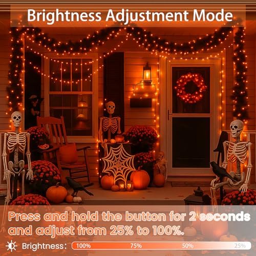 200 LED Connectable String Lights, 66FT Christmas Lights Outdoor Indoor