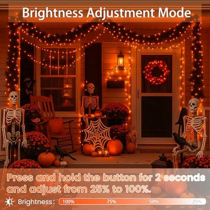 200 LED Connectable String Lights, 66FT Christmas Lights Outdoor Indoor