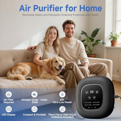 Air Purifier for Home with Ozone & Negative Ion, Ionic Air Purifier for Pet Smell, Smoke, Musty, Dust, Plug-in Air Ionizer for Bedrooms, Kitchens, Bathrooms, Cars and Offices, USB Powered (Dark Gray)