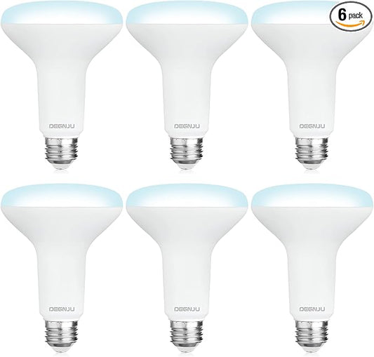DEGNJU 6 Pack BR30 LED Recessed Light Bulb, Dimmable Indoor Flood Light Bulbs CRI80 7W Equivalent 65W 5000K Daylight 650 Lumens, 15000 Lifetime Hours E26 Base LED Can Light Bulb, Flicker-Free