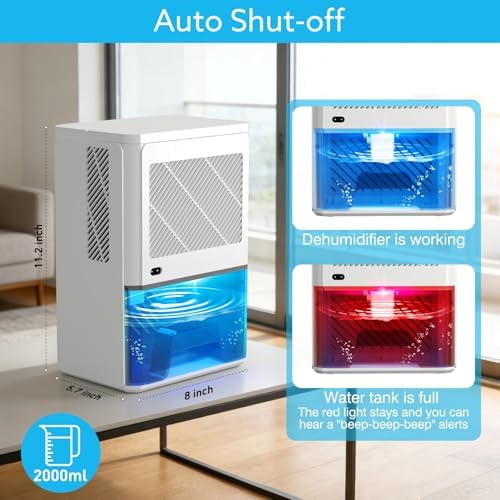 Dehumidifier 58W Compact Quiet Effective Double Cores for Home. 68OZ Water Tank, Sleep Mode, Auto Shut-Off, Delay-Off Timer, Night Light, for Bathroom Bedroom RV Camper Closet or any Small Space