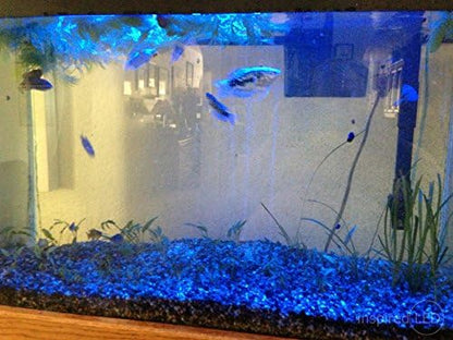 Blue LED Strip kit with connectors and Power. DIY!