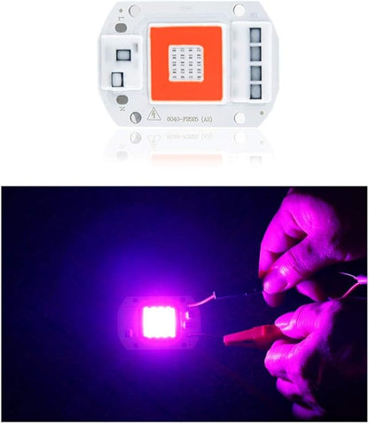 Fengyan Home Bulbs LED Grow Lights Full Spectrum 20W 30W 50W 110V 220V Smart IC High Power COB LED Phyto Chip Red & Blue Light Updated Version Household Lamp (Color : 110V, Wattage : 50W)