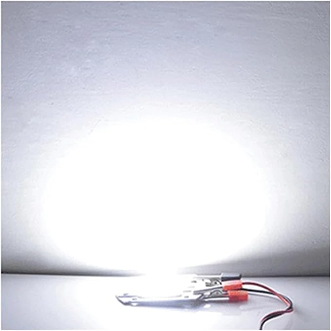 2pcs LED Chip COB Lamp 10W 20W 30W 50W AC 220V 240V IP65 Smart IC No Need Driver DIY Flood Light Led Bulb Spotlight Outdoor Lamp Bead(Cold White,220V 10W)