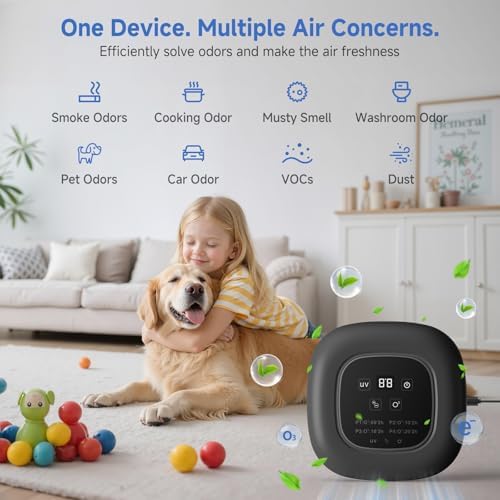 Air Purifier for Home with Ozone & Negative Ion, Ionic Air Purifier for Pet Smell, Smoke, Musty, Dust, Plug-in Air Ionizer for Bedrooms, Kitchens, Bathrooms, Cars and Offices, USB Powered (Dark Gray)