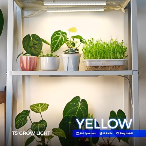 Barrina Grow Lights for Indoor Plant, Full Spectrum, T5 1FT Yellow, 4 Packs