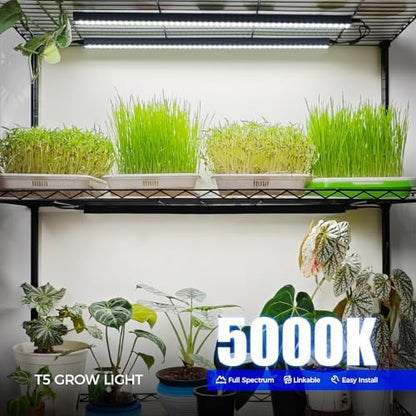 Barrina T5 Grow Lights for Indoor Plants, 2FT 5000K Full Spectrum, 4 Packs