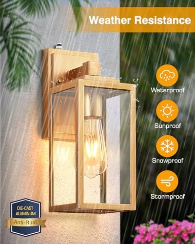 VIANIS Gold Outdoor Wall Light Dusk to Dawn Sensor, Anti-Rust, Waterproof