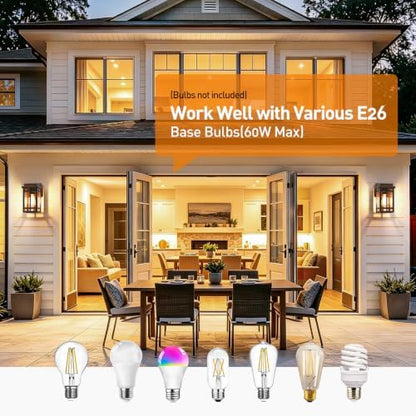 9.76'' Outdoor Wall Light Fixtures 2 Packs, Porch Lights Lantern