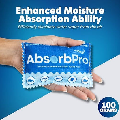 Absorb Pro Rechargeable Dehumidifier Bag, 100g Silica Gel, 1-Pack
