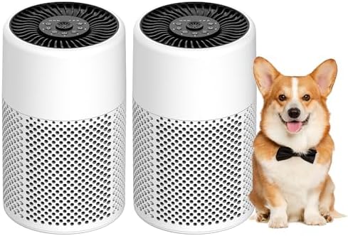 Air Purifiers for Bedroom, Dorm Room, True HEPA Filter for Smoke, White