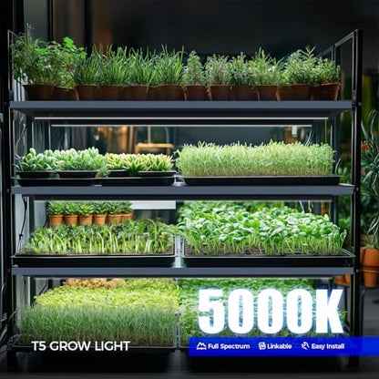Barrina T5 Plant Lights, 3FT 128W (8 X 16W), 5000K, 8 Packs, Black Cover