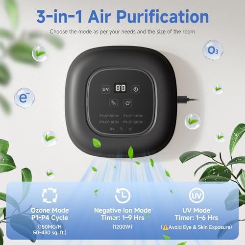 Air Purifier for Home with Ozone & Negative Ion, Ionic Air Purifier for Pet Smell, Smoke, Musty, Dust, Plug-in Air Ionizer for Bedrooms, Kitchens, Bathrooms, Cars and Offices, USB Powered (Dark Gray)