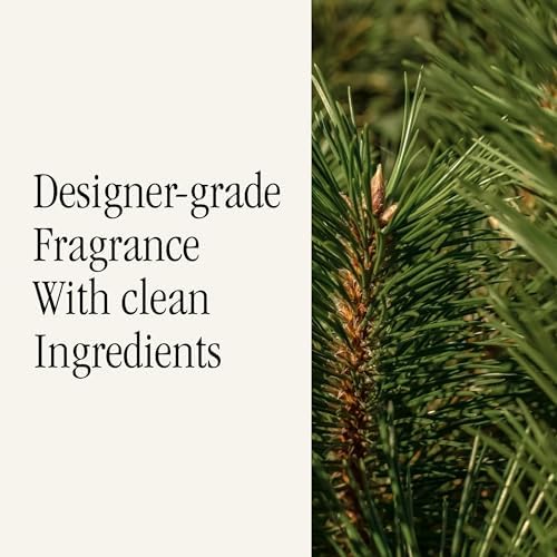 Pura Car Scent Refill, Balsam & Cedar