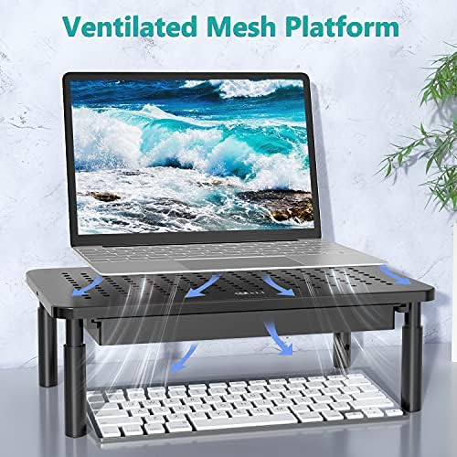 WALI Computer Monitor Stand with Storage