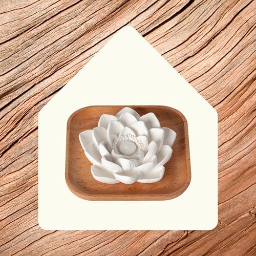 Plant Therapy Passive Lotus Flower Aromatherapy Essential Oil Diffuser