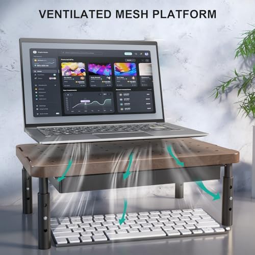 WALI Plastic Computer Monitor Stand with Storage, Adjustable Laptop Riser