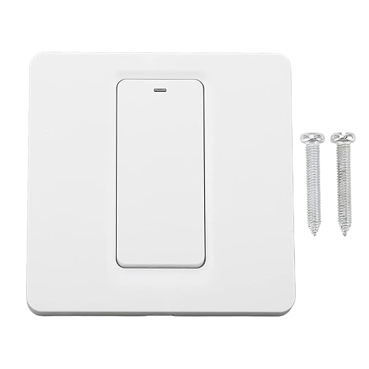 Smart Touch Wall Switch with Voice Control and Timer for Water Heater Boiler Home Automation