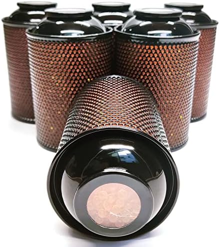 Gun Safe Dehumidifier, Moisture Absorbers, TOAAOT 200g Silica Gel Canister for Gun Case, Tool Box (6 Units)