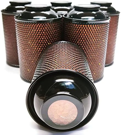 Gun Safe Dehumidifier, Moisture Absorbers, TOAAOT 200g Silica Gel Canister for Gun Case, Tool Box (6 Units)