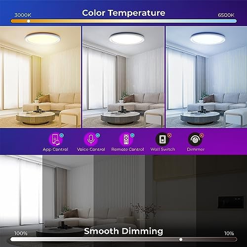 BLNAN Smart RGB LED Flush Mount Ceiling Light with Remote, 13 Inch 24W Dimmable Color Changing Low Profile Wired White Fixture, Works with Alexa Google Home App for Bedroom Living Kids Room Party