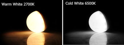 LGIDTECH FUT017 Miboxer 6W LED Bulb WW+CW Warm+Cool White Color Dual White CCT Temperature Adjustable,Memory Function