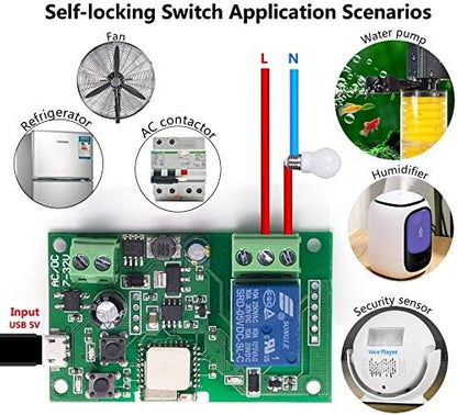 wireless jog relay momentary/self-locking switch module DIY smart home remote control wifi relay switch Ewelink App compatible with Alexa Echo Google Home IFTTT (DC1)