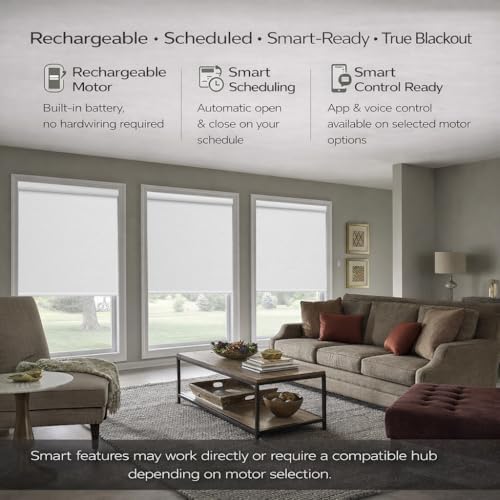 ZSHINE Motorized Blackout Roller Shades Remote Control Rechargeable(82141E)