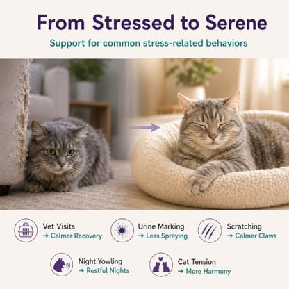 Smart Cat Calming Pheromone Diffuser, 1 Diffuser + 3 Refills