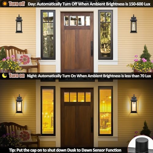 Dusk to Dawn Outdoor Lighting Wall Mounted 17 Inch Black