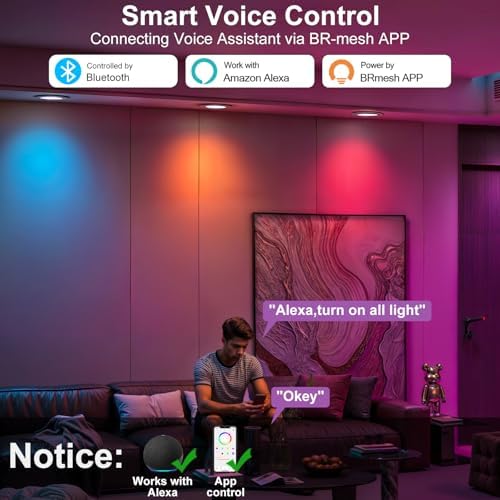 5/6" Smart Recessed LED Can Lights RGB CCT Bluetooth APP Alexa 13W 1050LM E26 Base 4Pack