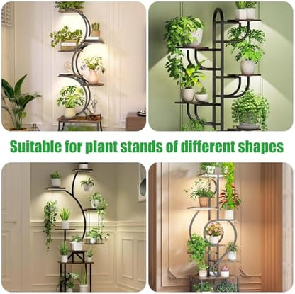 10.2'' 3 Head Grow Light Strips, LED Grow Lamps for Indoor Plants, Full Spectrum 3000K, Plant Light with 3/9/12H Timer, 10 Dimmable Levels for Seedling Succulent, Match for Plant Shelf