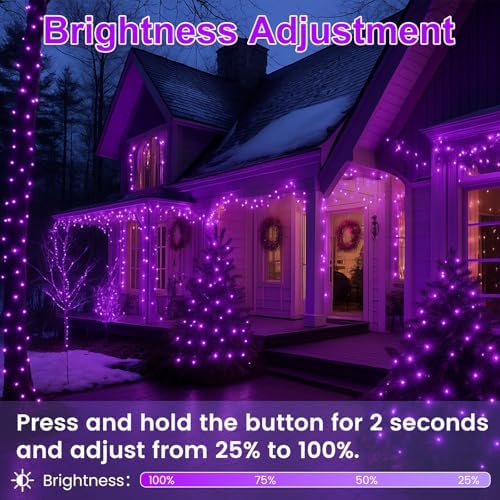 200 LED Connectable String Lights, 66FT Christmas Lights Outdoor Indoor
