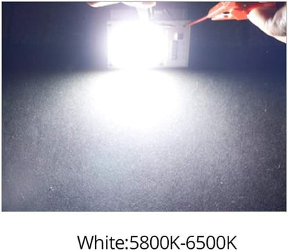 Fengyan Home Bulbs 2pcs/lot COB LED Spotlight 10W 20W 30W 110V 220V High Power LED Matrix Smart IC Bulb Floodlight Downlight Searchlight Source Household Lamp