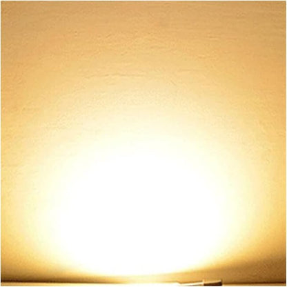100W LED Chip COB lamp AC 220V 240V IP65 Smart IC No Need Driver DIY Flood Light Led Bulb Spotlight Outdoor Lamp Bead(Warm White)