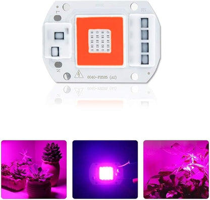 Home Bulbs LED Grow Lights Full Spectrum 20W 30W 50W 110V 220V Smart IC High Power COB LED Phyto Chip Red & Blue Light Updated Version Household Lamp (Color : 220V, Wattage : 50W)