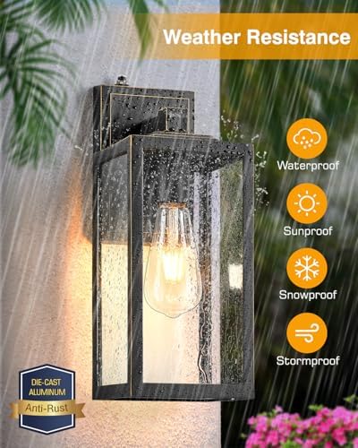 VIANIS Large Dusk to Dawn Outdoor Lighting for Porch, Anti-Rust, Waterproof