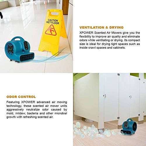 XPOWER Freshen Aire P-260NT 1/4 HP, 925 CFM, 4 Speeds Mini Mighty Scented Air Mover, Utility Fan, Dryer, Blower with Ionizer and Timer, Blue