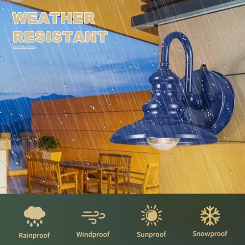 LONEDRUID Dusk to Dawn Sensor Outdoor Gooseneck Barn Light Fixtures Blue