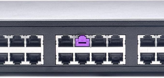 RJ45 Port Lock with Key - 10 Locks 1 Key (Purple)