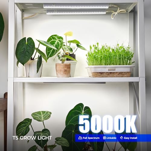 Barrina T5 Grow Lights for Indoor Plants, 5000K Full Spectrum, 1FT, 4 Packs