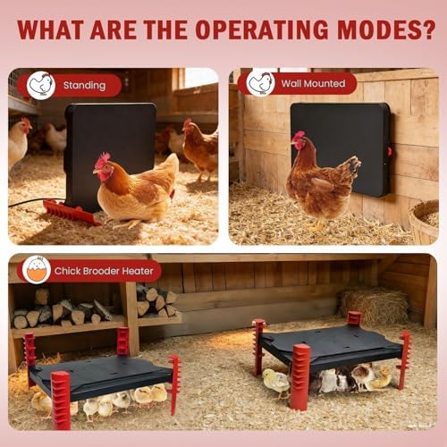 200W Chick Brooder Heater Plate, 16"x12"
