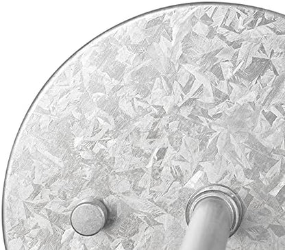 Globe Electric 1-Light Galvanized Metal Outdoor Indoor Wall Sconce with Textured Socket Detail