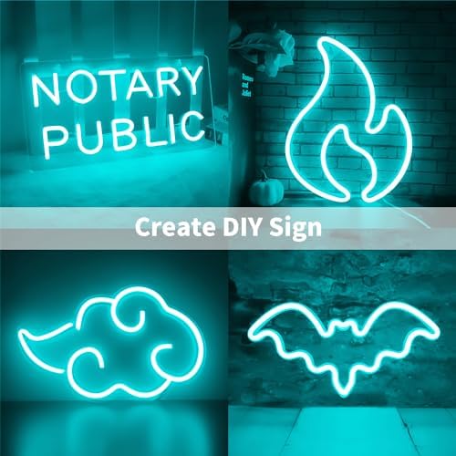 iNextStation 16.4FT 12V LED Strip Lights Ice Blue Neon Rope Light (No Plug)