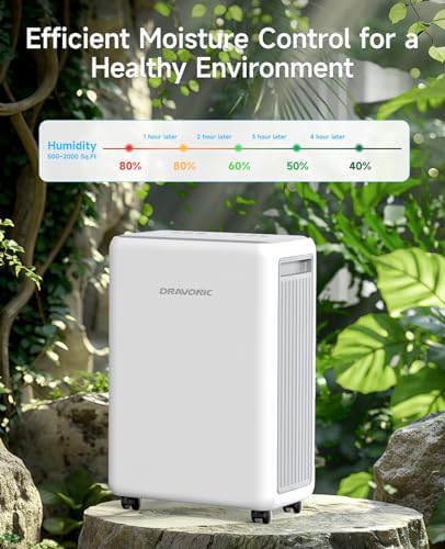 30 Pints Dehumidifier for Basement & Bathroom with Auto Defrost