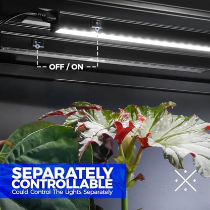 Barrina T5 Grow Lights, 2FT 20W (2 X 10W), 5000K Full Spectrum, 2 Packs