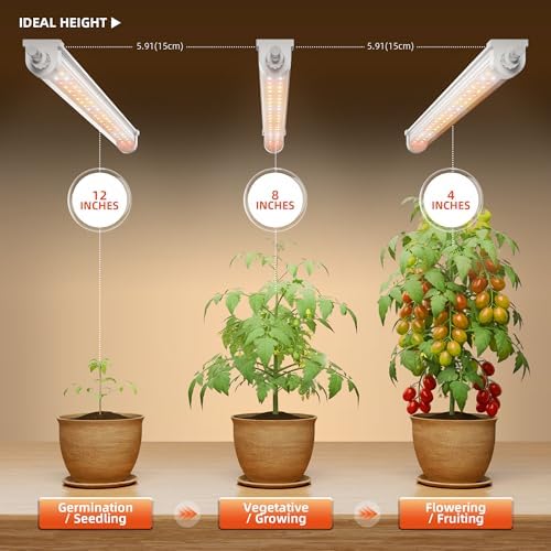 Spider Farmer 3FT T5 LED Grow Lights for Indoor Plants, 5000K 3000K 660nm Full Spectrum 200W (8x25W), IP65 Waterproof Linkable LED Plant Light Strips, 8-Pack for Seed Starting Hydroponics