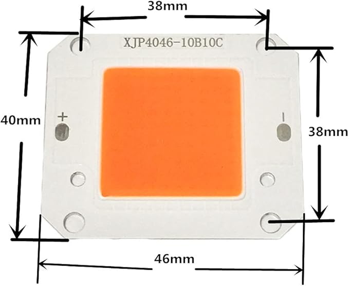 DC12V 50W LED COB Integrated Smart IC Driver High Power 12V COB LED Cold White Warm White Full Spectrum (Cold White 20000K)